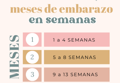 Tabla de equivalencias semanas-meses de embarazo