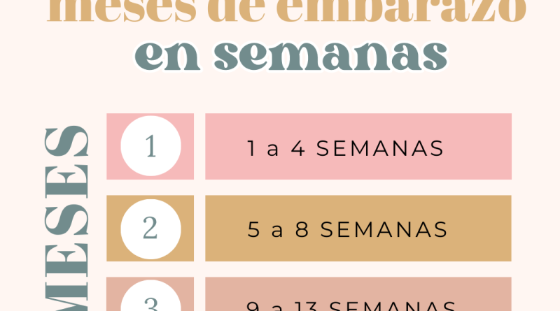 Tabla de equivalencias semanas-meses de embarazo